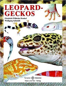 Leopardgeckos von Friedhelm Wilhelm Henkel